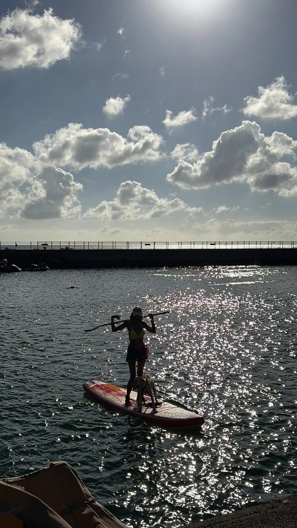 Seol Jinmi on a paddleboard with her dog
