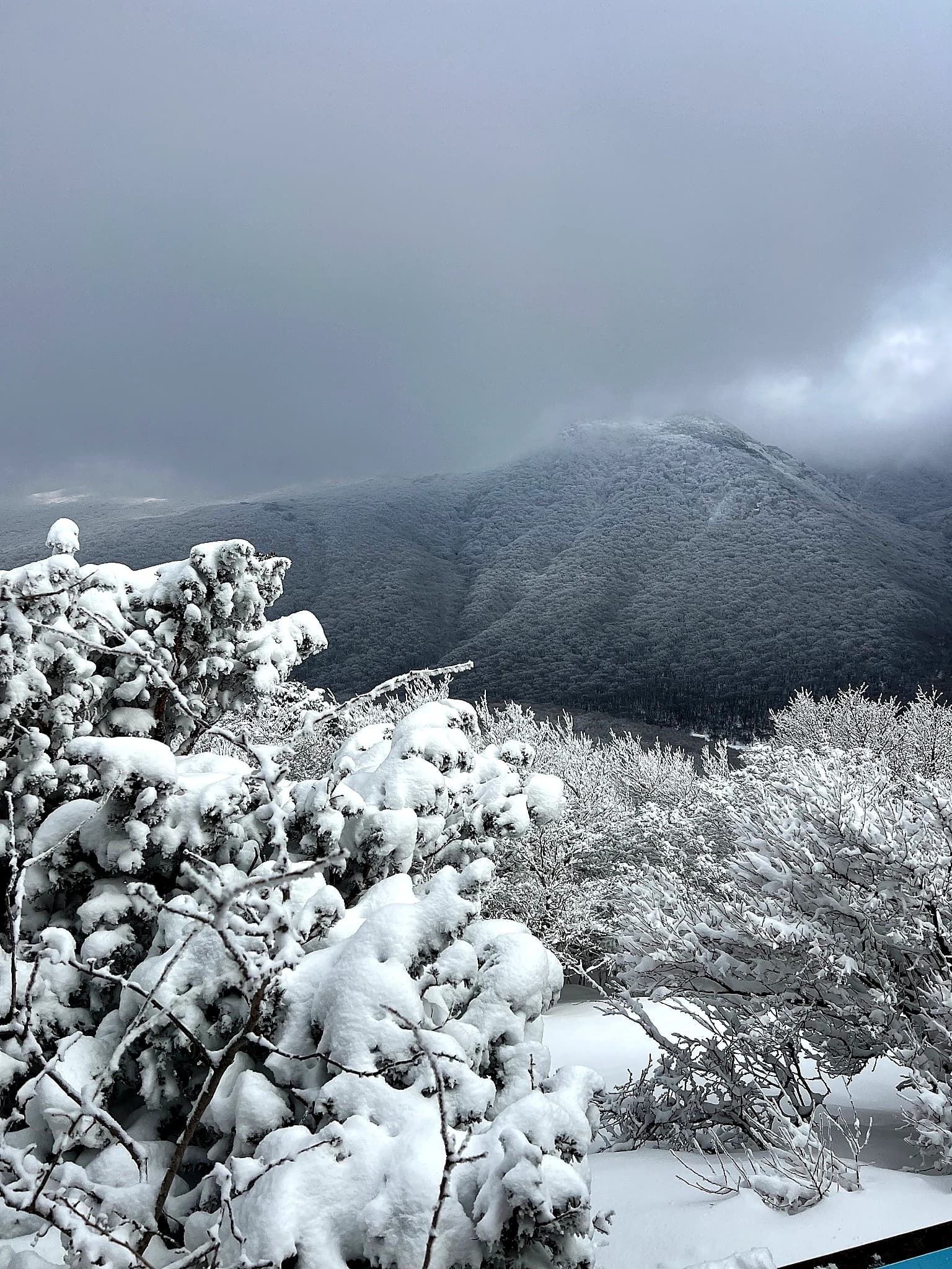 Snow-covered ridges on the slopes of Hallasan beneath low winter clouds