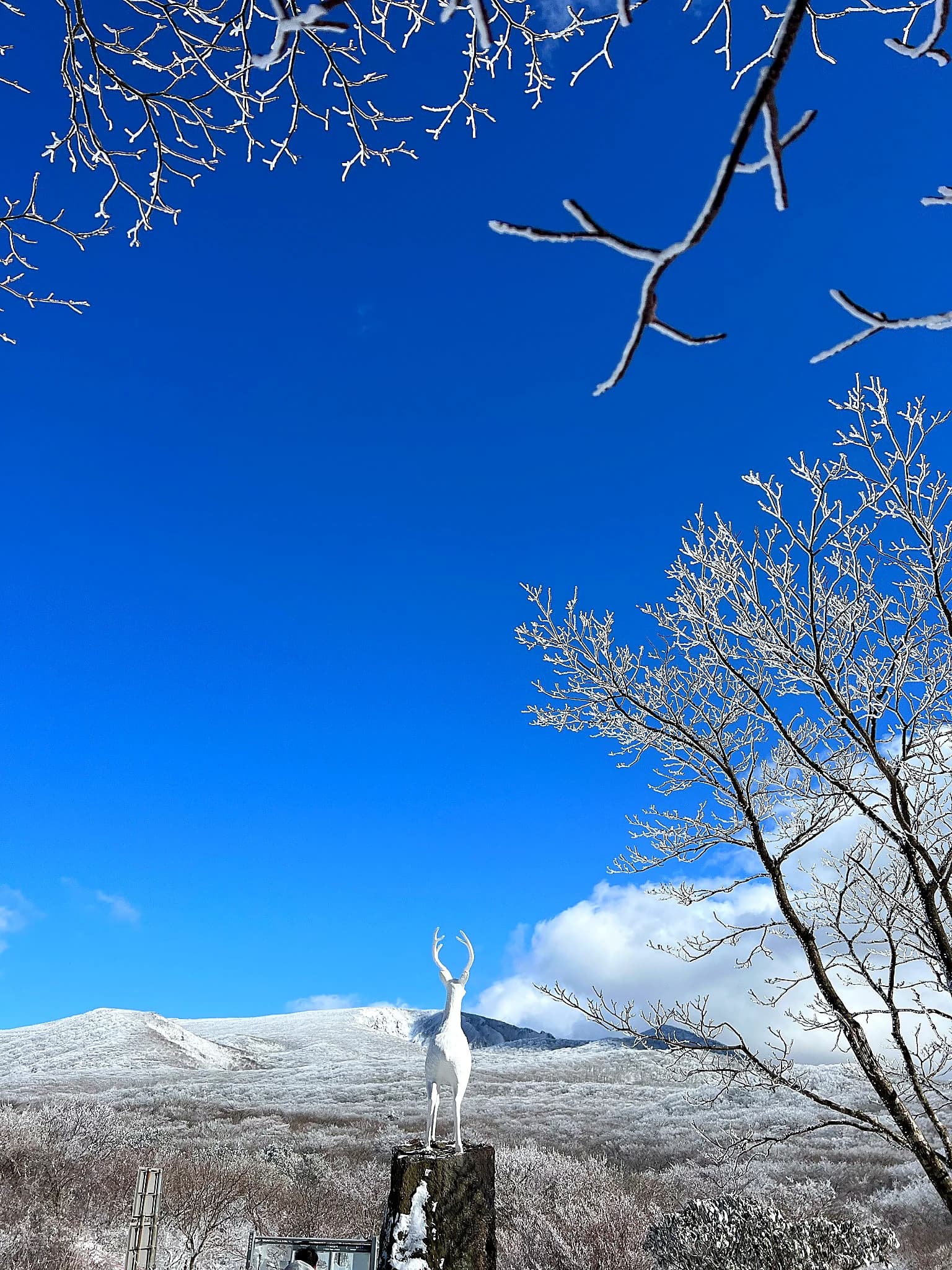 A white deer sculpture overlooking the snow-covered slopes of Hallasan at Eorimok
