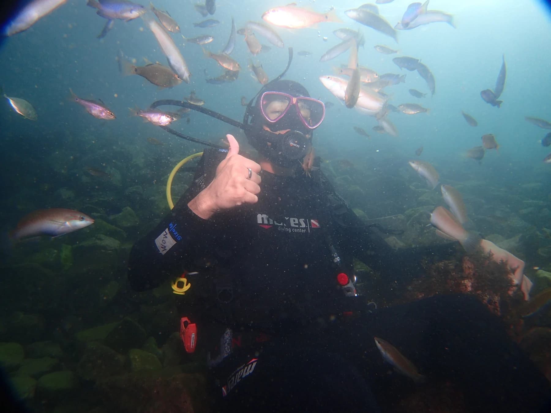A diver surrounded by fish underwater near Munseom