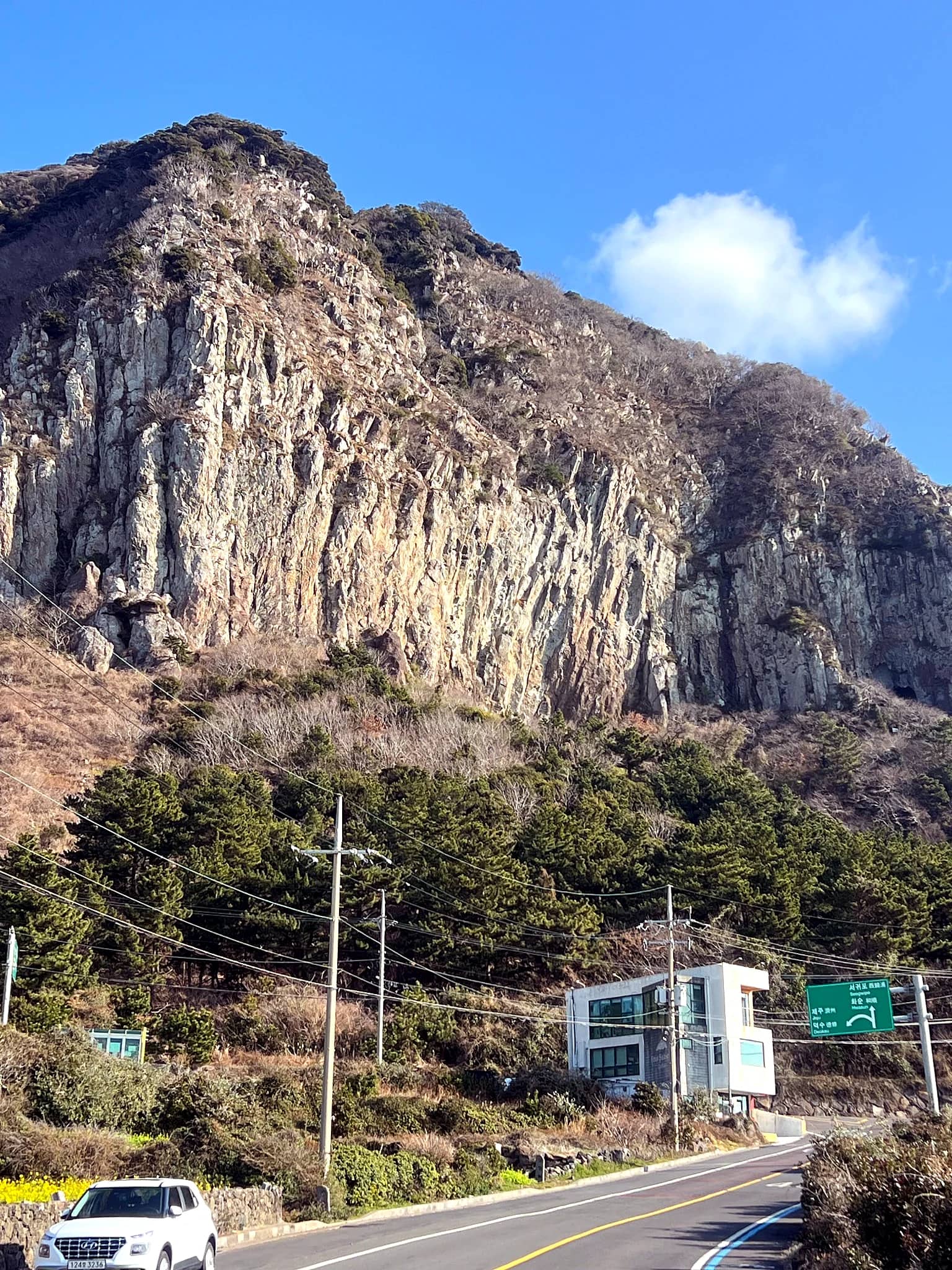 산방산 아래 도로에서 가까이 바라본 수직 암벽