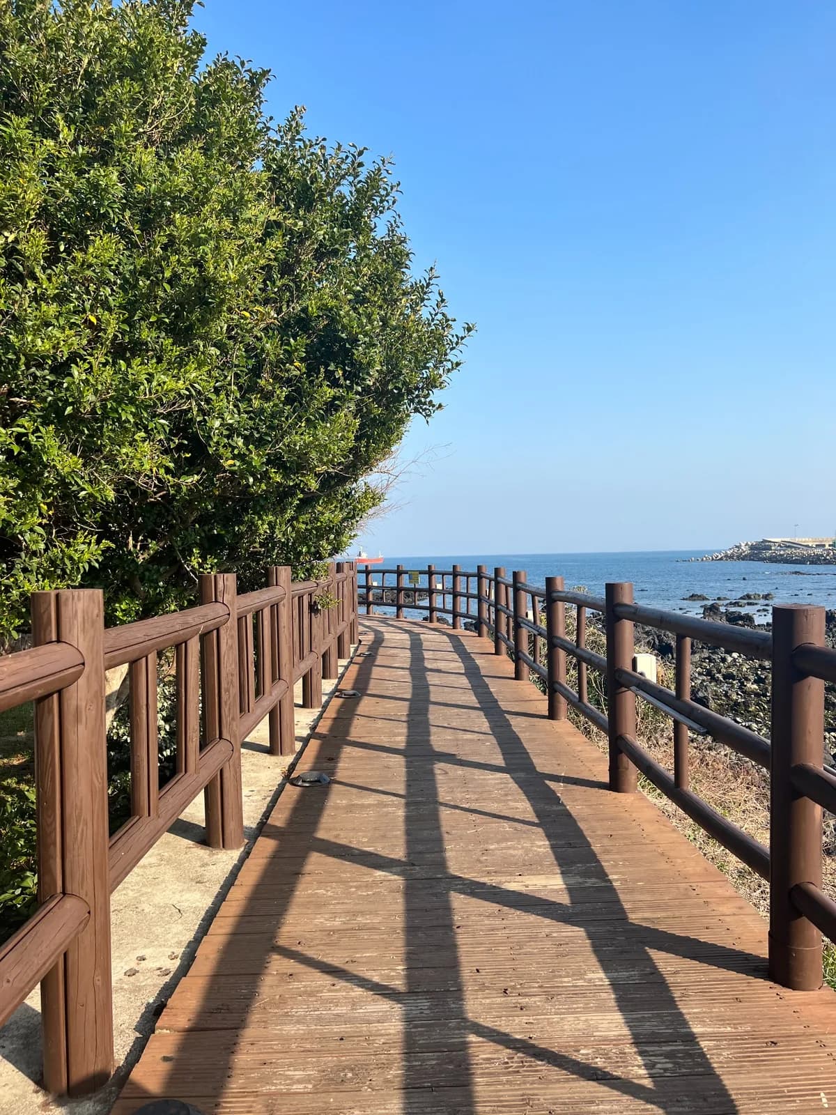 A coastal path leading toward the sea near Seogwipo Port